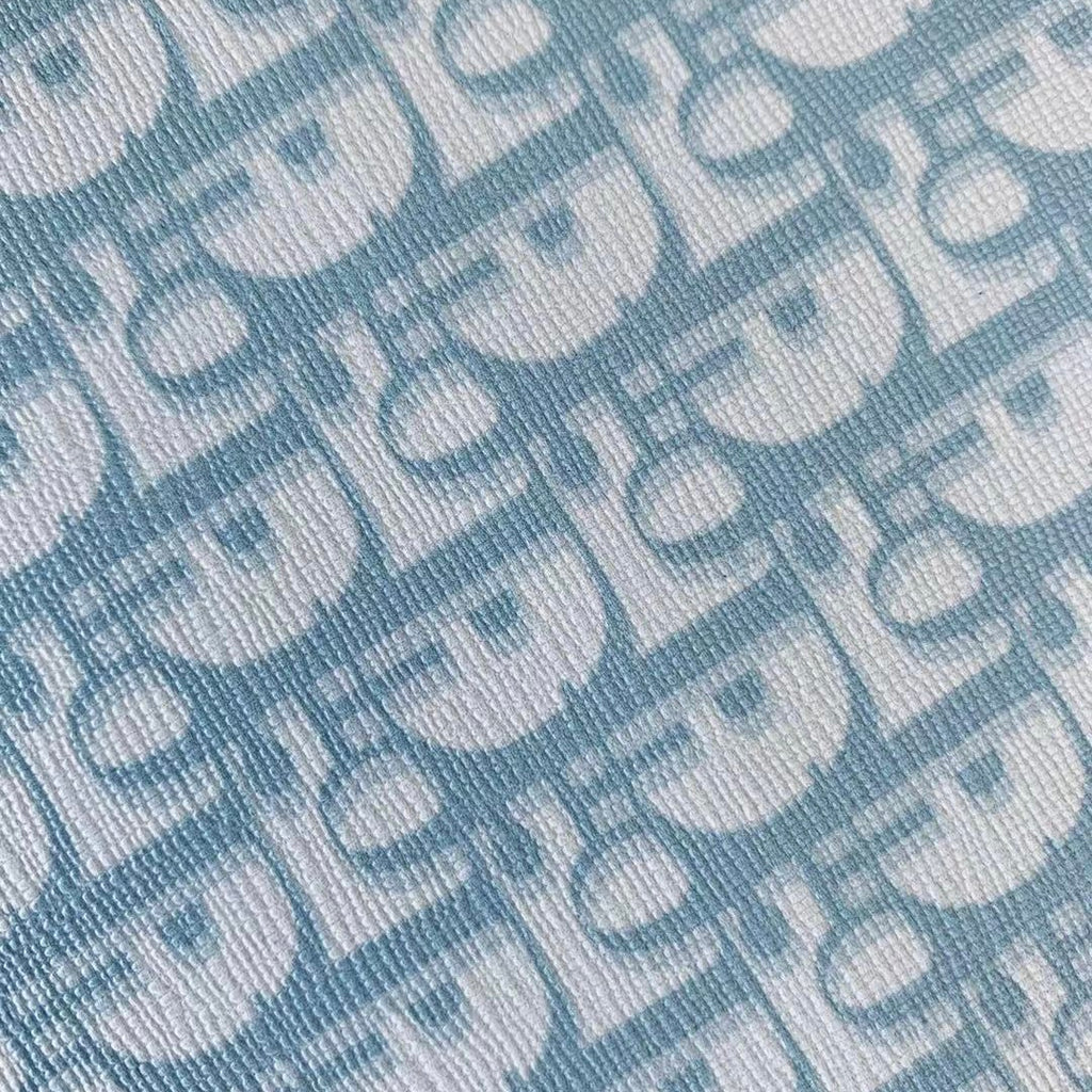 Light Blue Dior Monogram image 1