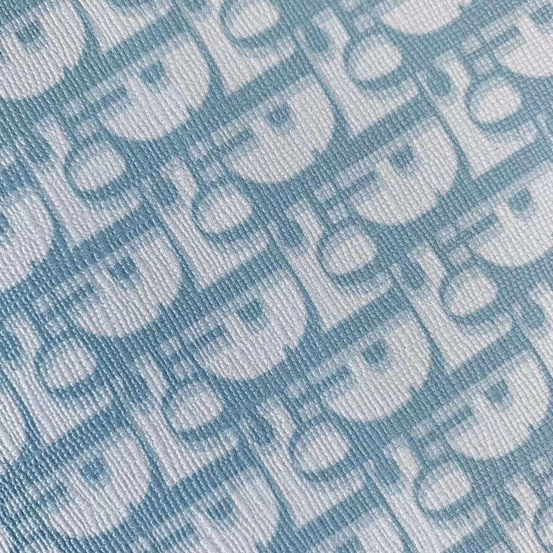 Light Blue Dior Monogram image 1