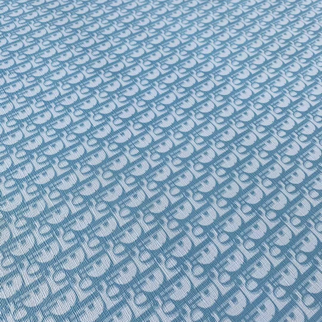 Baby Blue Dior Monogram image 1