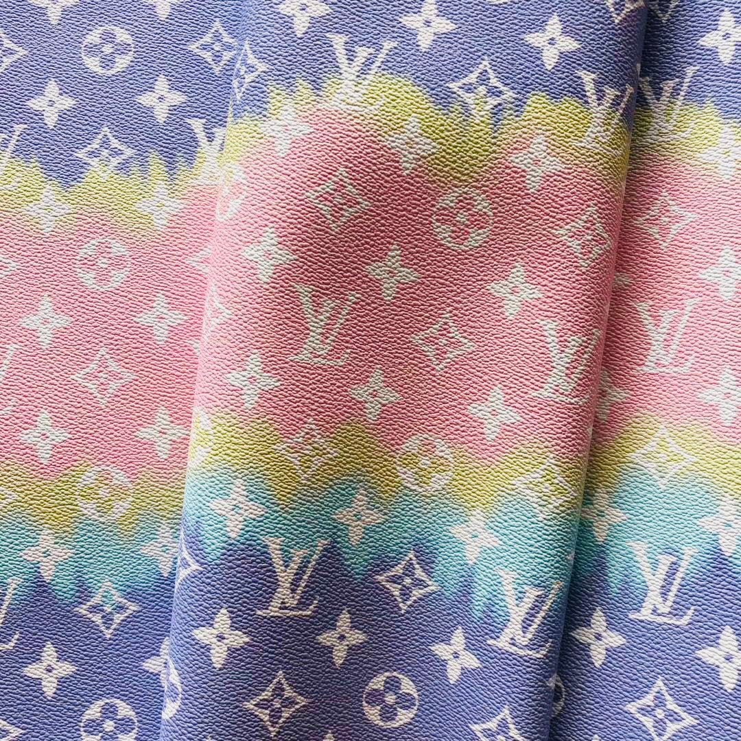 Rainbow Gradient Louis Vuitton image 1