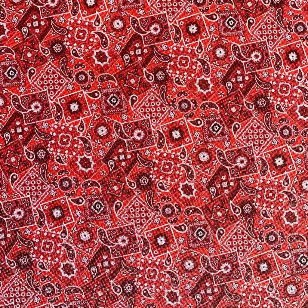 Red Bandanna image 1