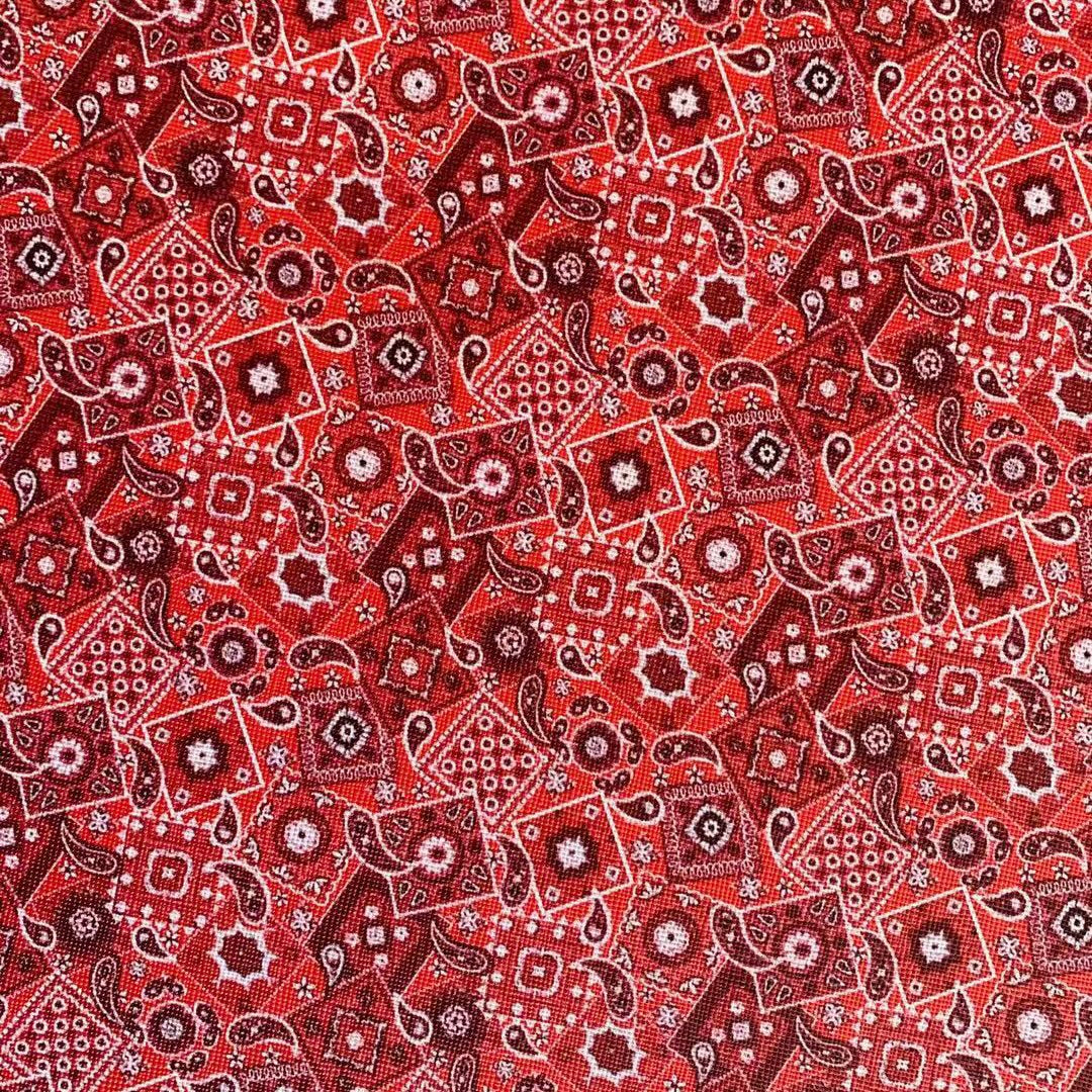 Red Bandanna image 1