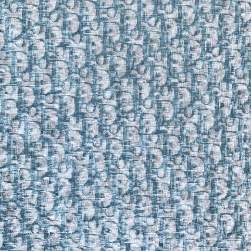 Light Blue Dior Monogram image 0