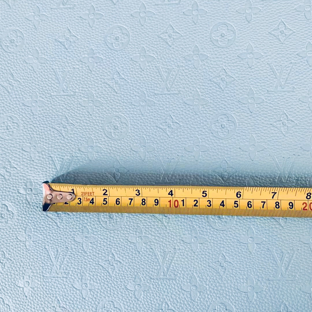 Baby Blue Louis Vuitton image 3