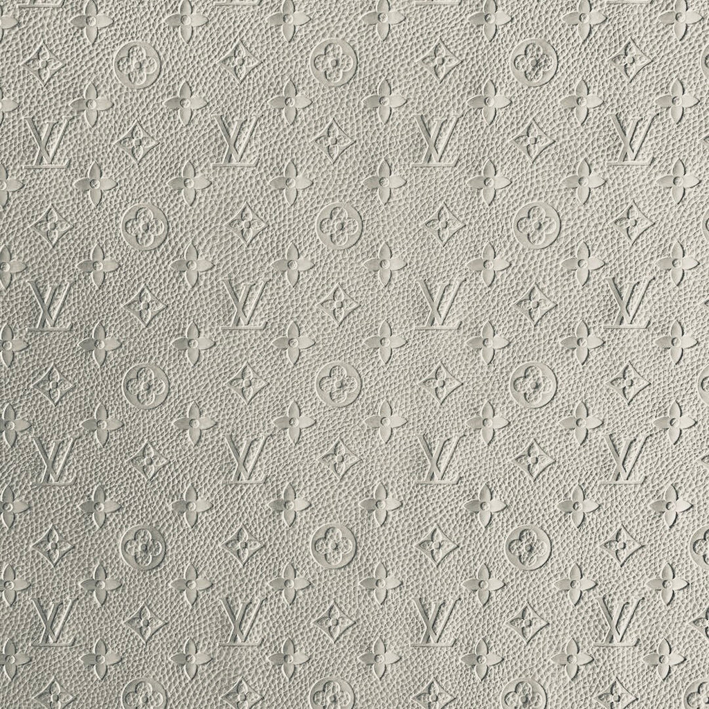 White Louis Vuitton image 0