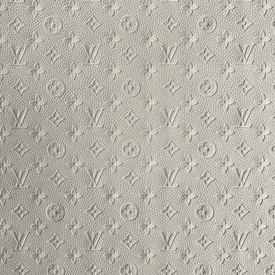 White Louis Vuitton image 0