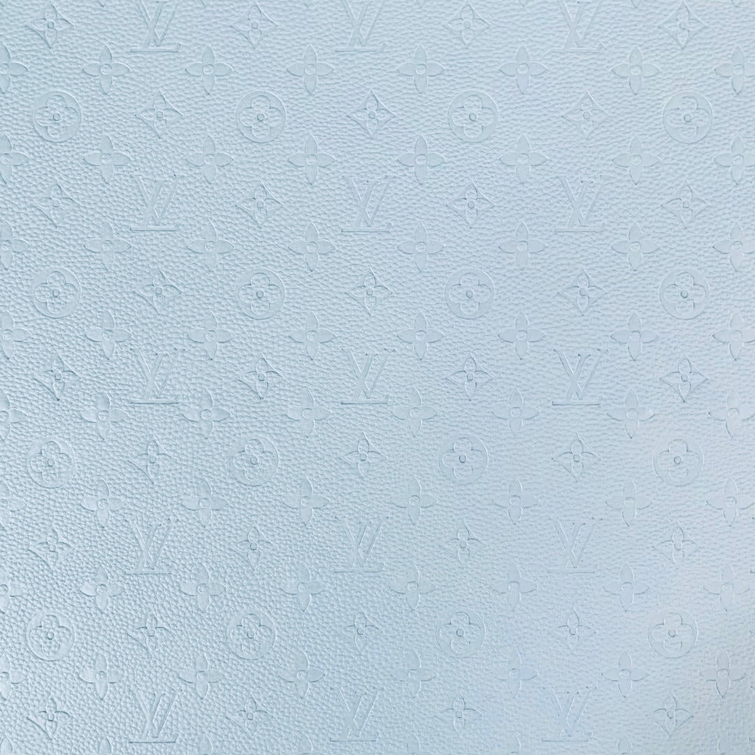 Baby Blue Louis Vuitton image 0